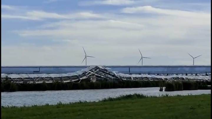 Filmado: Grande estufa na Holanda do Norte desaba repentinamente
