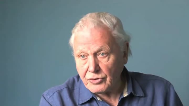 David Attenborough viert 100e verjaardag met natuursessie