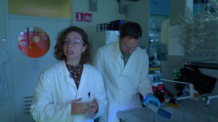 Albert Heijn adviseert: was je kip vóór het koken, maar is dat echt hygiënischer?