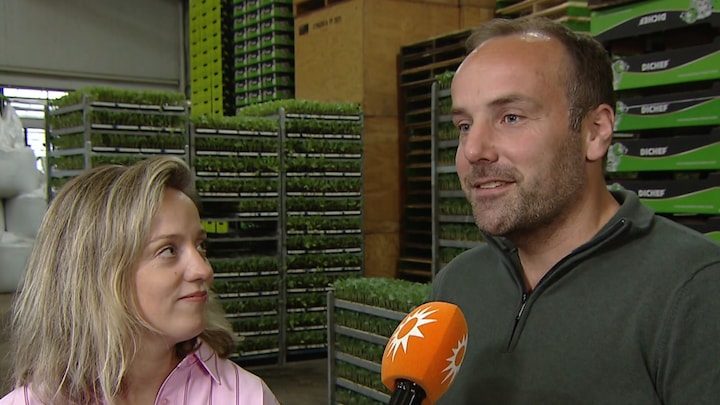 Gaan Roel en Simone uit Boer zoekt vrouw samenwonen? 'Zie het positief in'