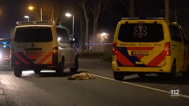 Man en hond geschept in Alkmaar