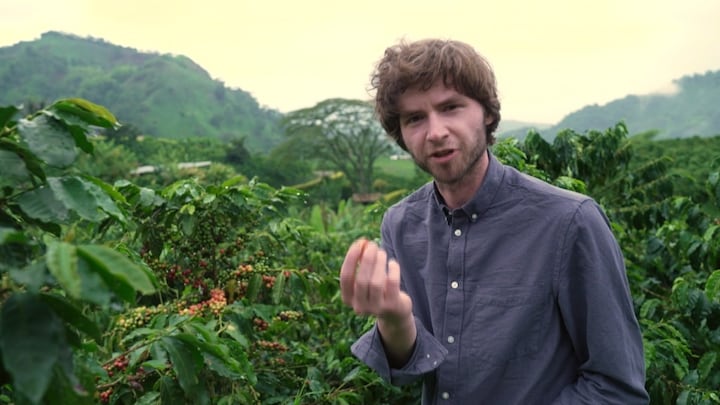Kopje koffie wordt steeds duurder: deze boeren laten zien waarom