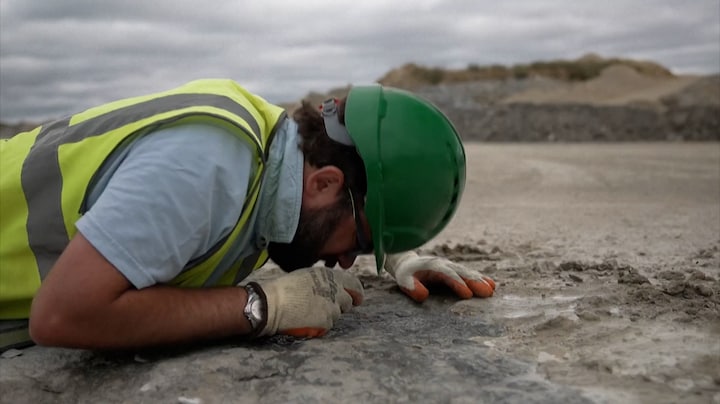 Spectaculaire vondst: langste dinosaurusspoor ooit ontdekt