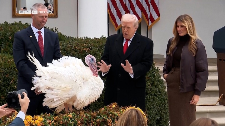 Twee kalkoenen krijgen gratie van Trump en belanden niet op Thanksgiving-tafel
