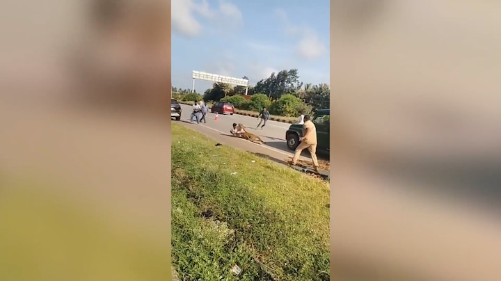 Luipaard valt boswachter aan in India