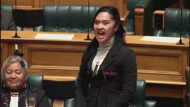 Maori-politici verstoren stemming in parlement met haka