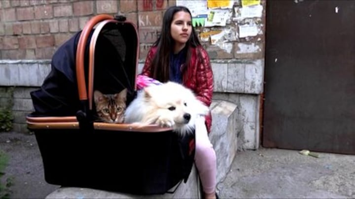 Oekraïens meisje gered door haar hond Buddy bij grote droneaanval op Kyiv