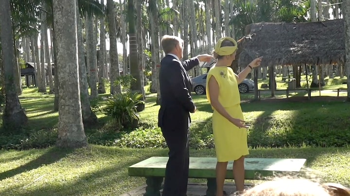 Koning Willem-Alexander kribbig door auto's die fotomoment verpesten