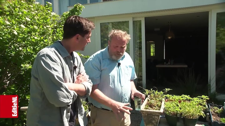 Aflevering 121