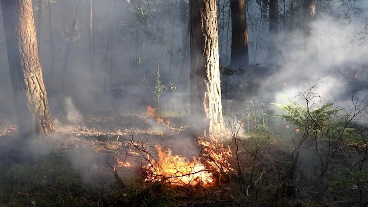 Gevaarlijke combi van noordenwind en droogte: natuurbranden op de loer