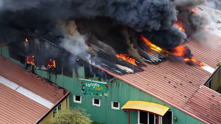 Brand in dierenpark Feanwâlden: 'We kunnen het bijna niet beseffen'