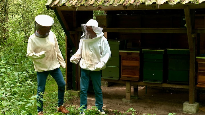 Des dizaines de blessés suite à une attaque d'abeilles en France, cela pourrait-il arriver ici aussi ?