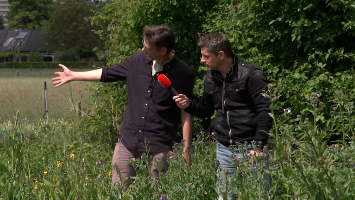 Moederdagbloemen vol bestrijdingsmiddelen, maar niet die van Martin