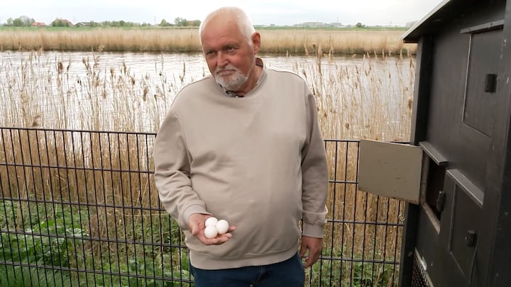 Sible kan volgens het RIVM zijn eigen eitjes beter niet meer eten