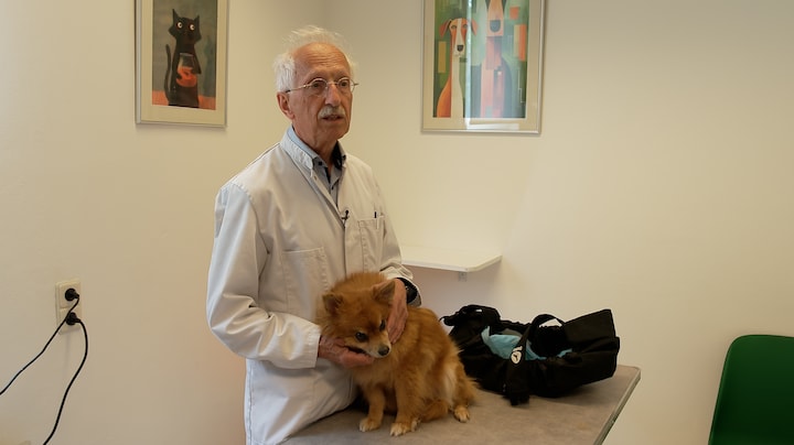 Dierenarts Bert helpt baasjes die zorg niet kunnen betalen