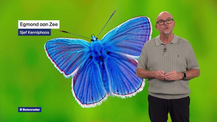 RTL Weer 08:20