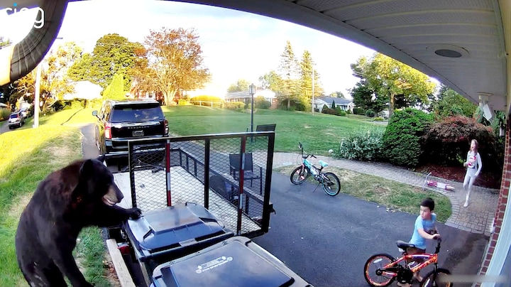 Even flink schrikken: beer oog in oog met kinderen VS 