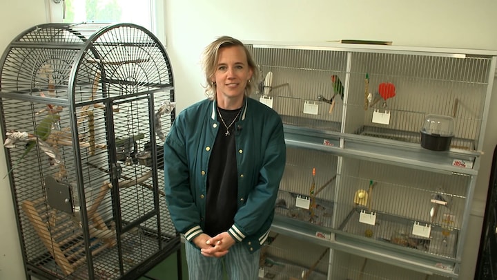 Geef je op voor het NK Vogelfluiten: 'Je kunt communiceren met vogels'