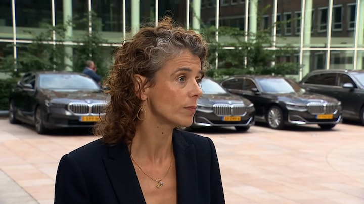 Minister: bescherm je tegen muggen om te voorkomen westnijlvirus op te lopen