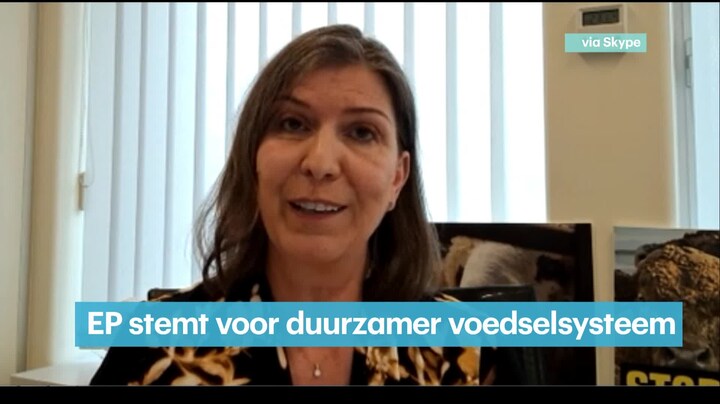 RTL Z Nieuws - 16:00 uur