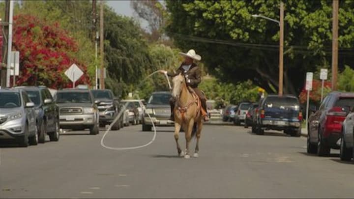 Latino cowboys in verzet: ‘Onze cultuur past niet in een appartementencomplex’