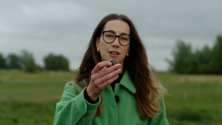 Kankerverwekkende stof in bodem Beverwijk door oude vuilnisbelten