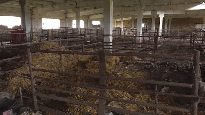 Russische soldaten leefden maanden in varkensstal: 'Net beesten'