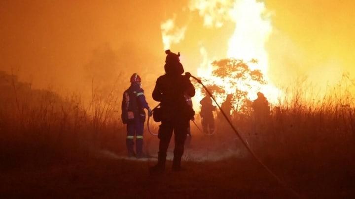 Tientallen doden door bosbrand Griekenland, mogelijk migranten