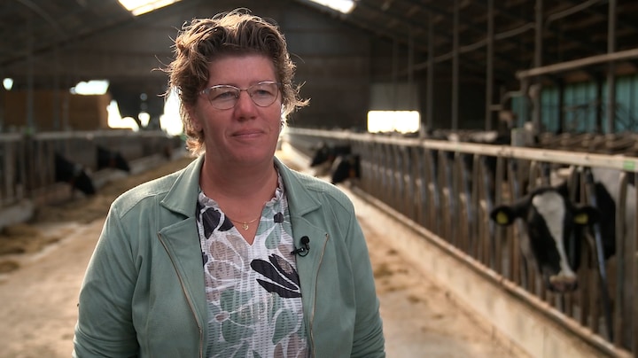 Maaike heeft 120 koeien: straks inkrimpen door nieuwe stikstofwet?