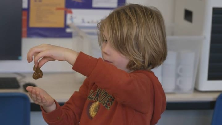 Van plastic drollen tot scheetkussens: 'vies' speelgoed populair met Sint