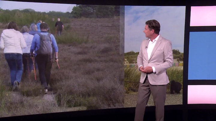 RTL Weer - Laat