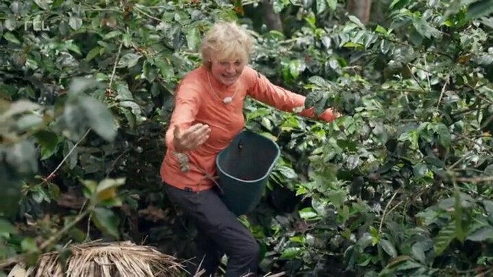 Olga Commandeur maakt lelijke val op koffieboerderij