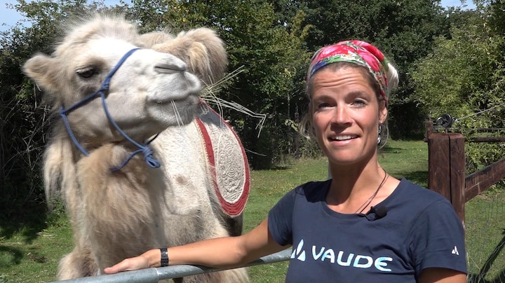 Topbaan bij politie opgegeven: met kameel de wereld over