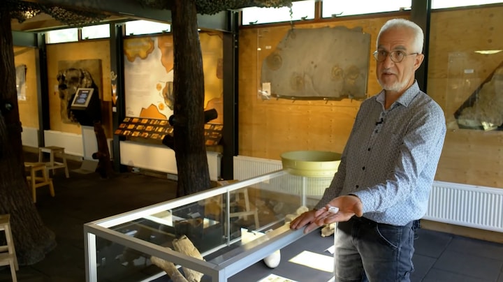 René vindt voor het eerst ooit stukjes T-rex Ei: 'Kers op de taart'