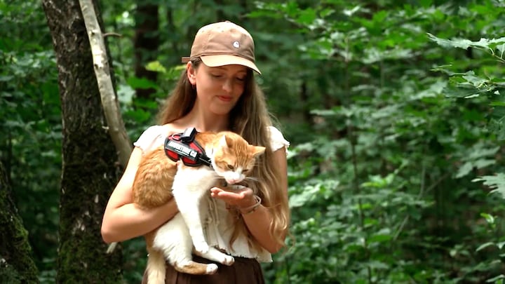 Met deze steeds populairder wordende tracker kun je je kat overal volgen