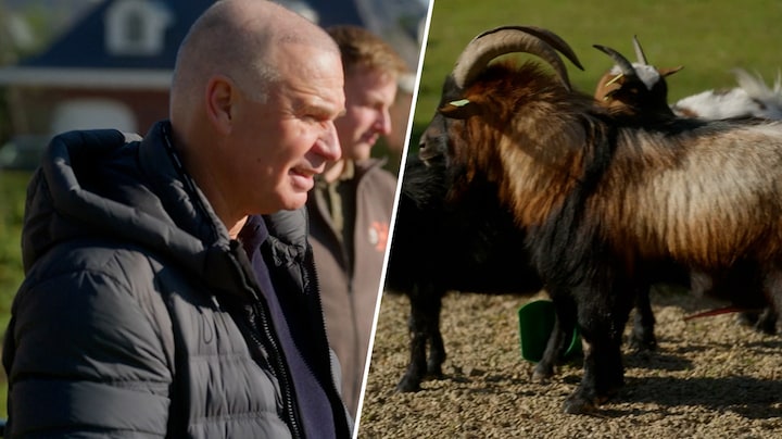 René Bogaart onder de indruk van 'Geile Gerrit' in De Bogaartjes: 'Stinkt wel'