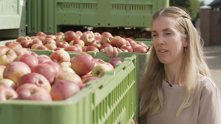 Telers kunnen groente of fruit soms niet kwijt, No Waste Army koopt op tegen verspilling