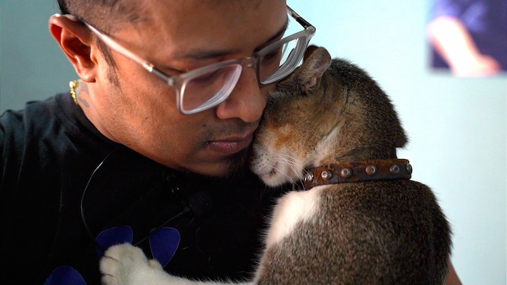 Afzal ontfermt zich over straatdieren in Bangladesh: 'Ze zeggen dat ik gek ben'
