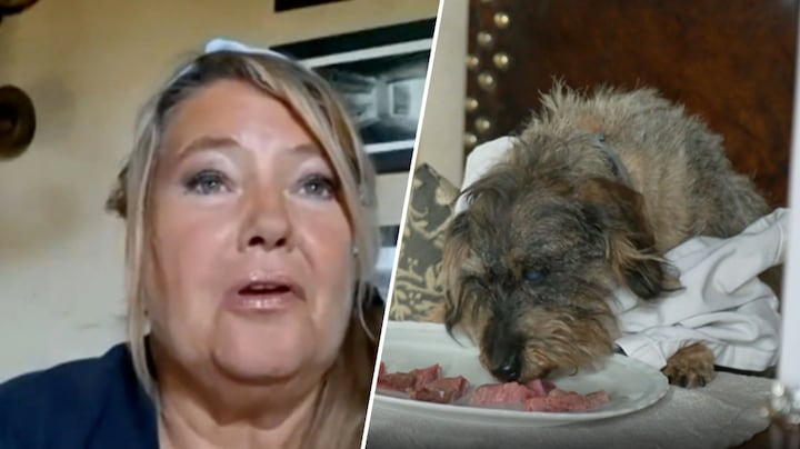 Dit is Mireille, de nieuwe eigenaresse in B&B Vol Liefde