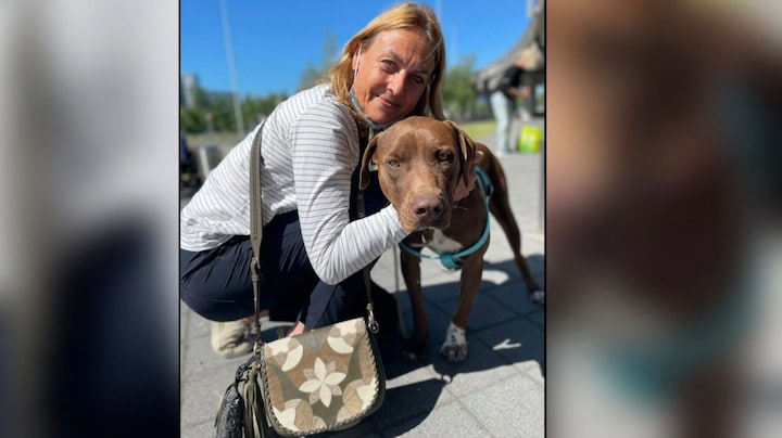 Elise Veldboer slachtoffer van gruwel tijdens uitlaten hond