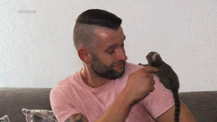 Emotioneel afscheid tussen man en witoorpenseelaapje