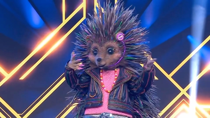 De Egel weet het Masked Singer-panel te misleiden: Niemand raadt wie zij is