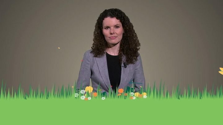 Waarom de slechte staat van de natuur ons steeds meer geld kost