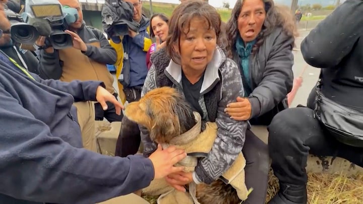 Chili in de ban van Morocho: 2 uur lang live tv van hond in rivier