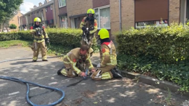 Brandweer redt 6 katten uit brandende woning