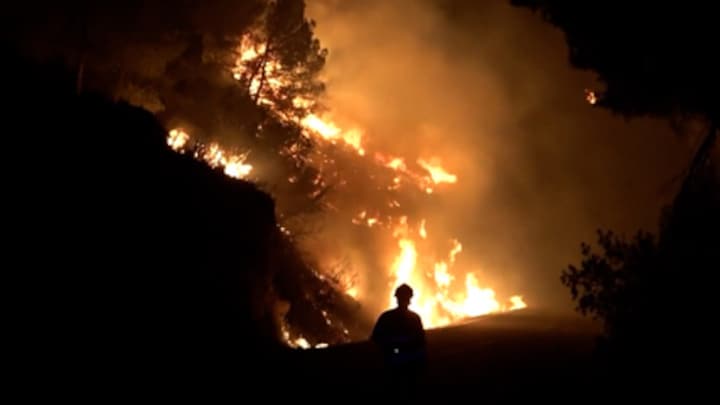 Nederlandse brandweer naar Spanje om bosbranden te bestrijden