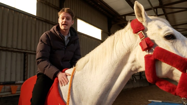 Muziek, herrie en chaos: paarden krijgen training voor intocht Sinterklaas