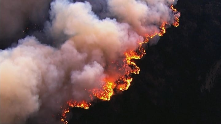 Bosbrand verwoest enorm natuurgebied in Californië