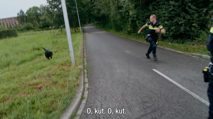 Ewout Genemans en agenten slaan op de vlucht voor agressieve rottweiler in Bureau Maastricht