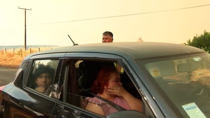 Meerdere doden door bosbranden Chili en Argentinië: 'Aangestoken door mensen'